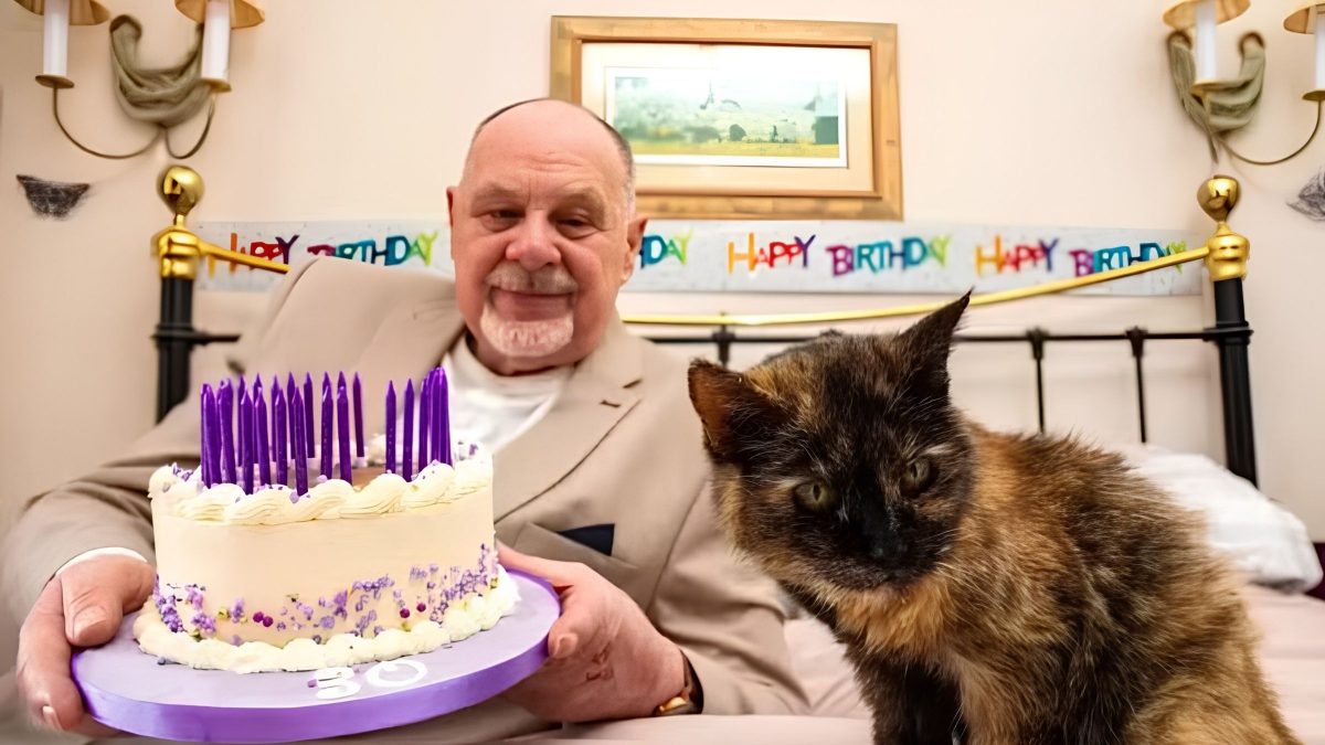 Com dieta de camarão e água mineral, gata de 146 anos humanos busca título de mais velha do mundo no Livro dos Recordes - QTU Questões do Universo