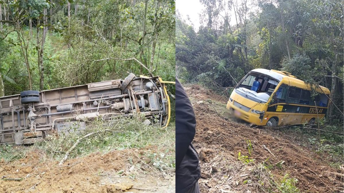 Crianças feridas após ônibus escolar tombar em ribanceira recebem alta em SC - QTU Questões do Universo
