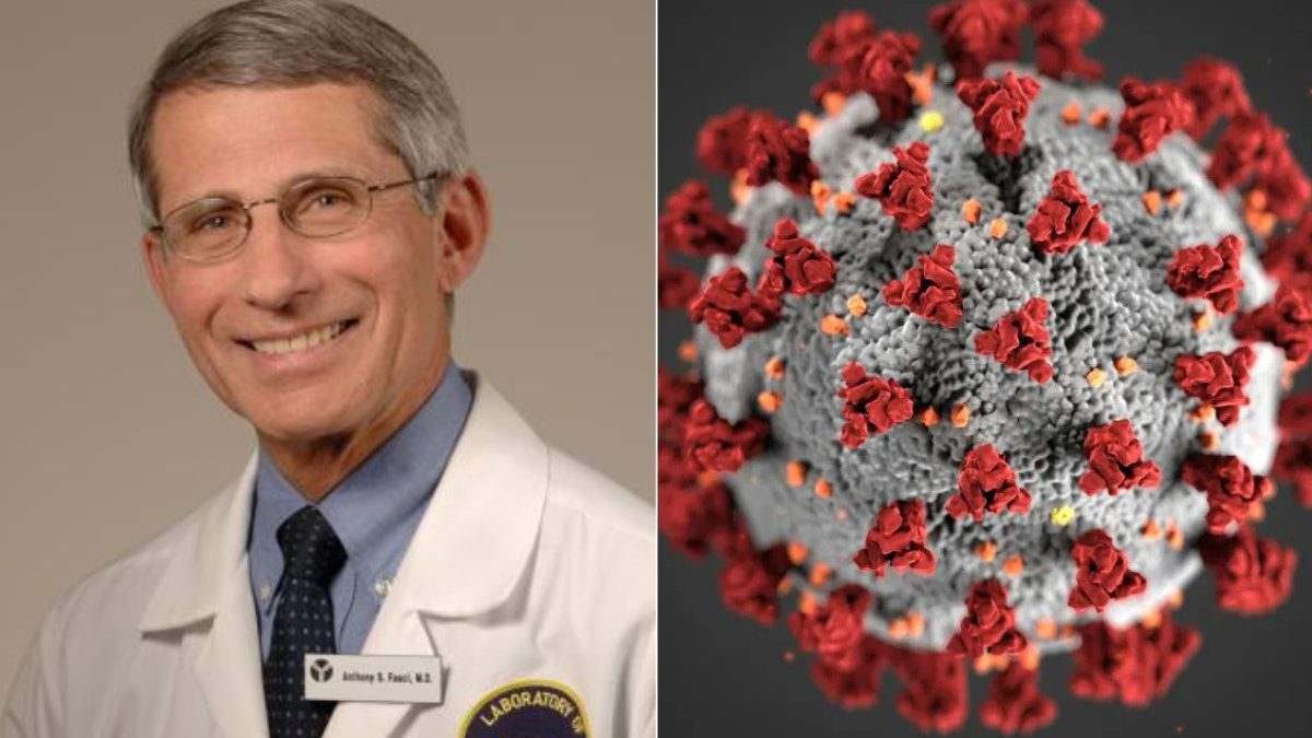 Origem da Covid-19: o que o FBI, a CIA e os diários de Fauci detalham sobre os bastidores de 2020 - QTU Questões do Universo