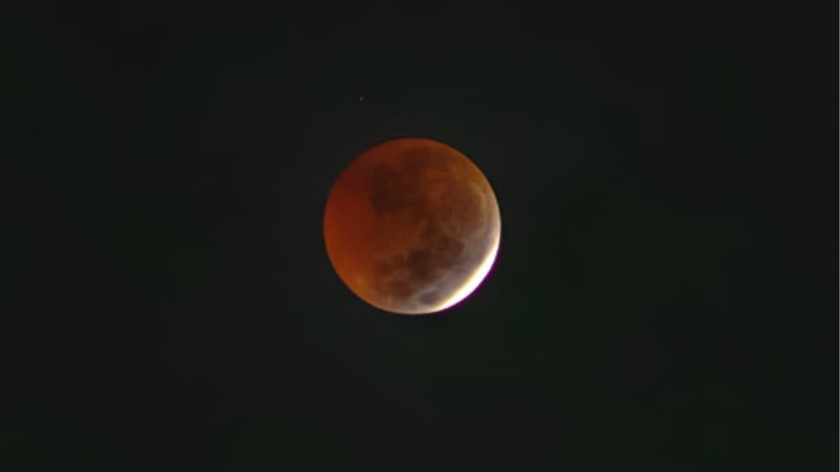 Próximo eclipse lunar parcial de agosto pode mudar o comportamento do seu cachorro ou gato; veja como a Lua influencia os pets - QTU Questões do Universo