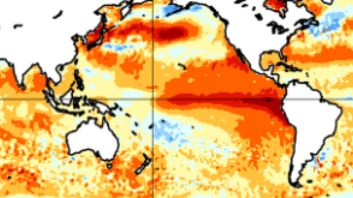 NOAA confirma avanço do El Niño: fenômeno segue ganhando força no Pacífico e pode ser o mais intenso dos últimos 150 anos - QTU Questões do Universo