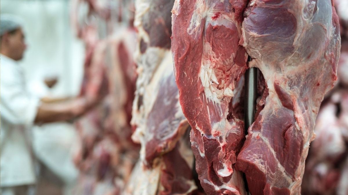 Carne brasileira barrada na Europa: entenda os impactos para a economia e para as exportações - QTU Questões do Universo