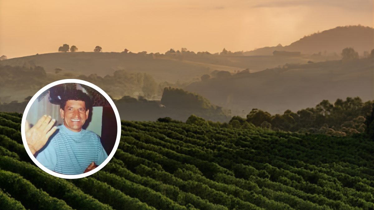 Fazenda de café avaliada em R$ 30 milhões é disputada após morte de cafeicultor que deixou filho não reconhecido em MG - QTU Questões do Universo