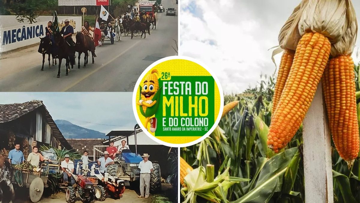 Maior produtora de milho verde de SC, cidade de quase 30 mil habitantes, mantém tradição de 26 anos com desfile de tratores agrícolas e carros de boi - QTU Questões do Universo