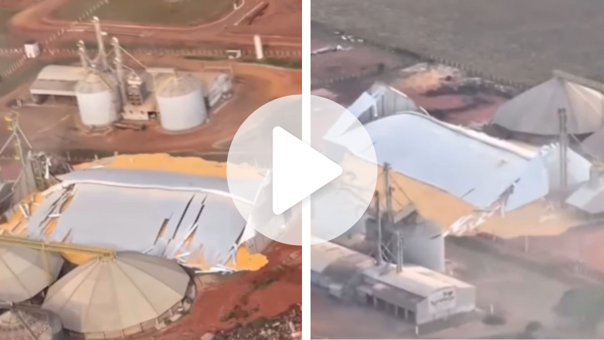 Mega-silo ‘estoura’ e espalha grãos em área operacional no interior de MS; imagens mostram dimensão dos estragos - QTU Questões do Universo