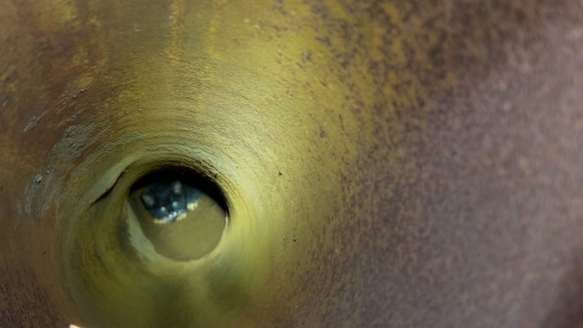 Gatinho filhote cai em tubo metálico enferrujado de 3 metros, machuca as patas para tentar fugir e termina acolhido pela pessoa que atendeu o resgate - QTU Questões do Universo
