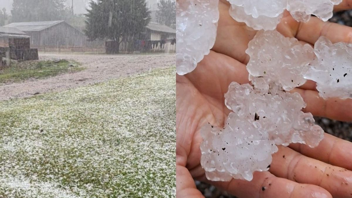 ATENÇÃO, SC! Granizo afeta mil famílias e 5 cidades decretam emergência