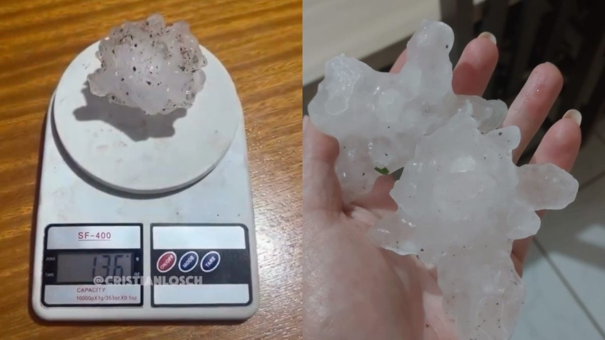‘Maior que ovo de galinha’: tempestade de granizo castiga cidades com pedras enormes de mais de 136 gramas em SC - QTU Questões do Universo