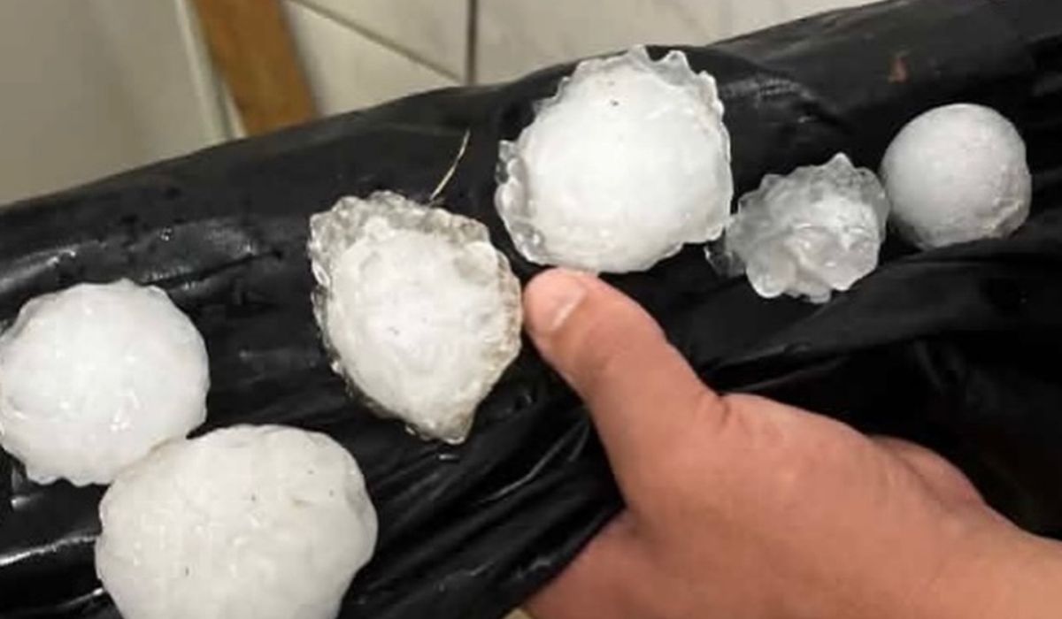 Temporais de granizo atingem Extremo-Oeste de SC e tamanho das pedras impressiona Foto: agenciaicem/Impacto Comunicação/Instagram/Reprodução/ND Mais
