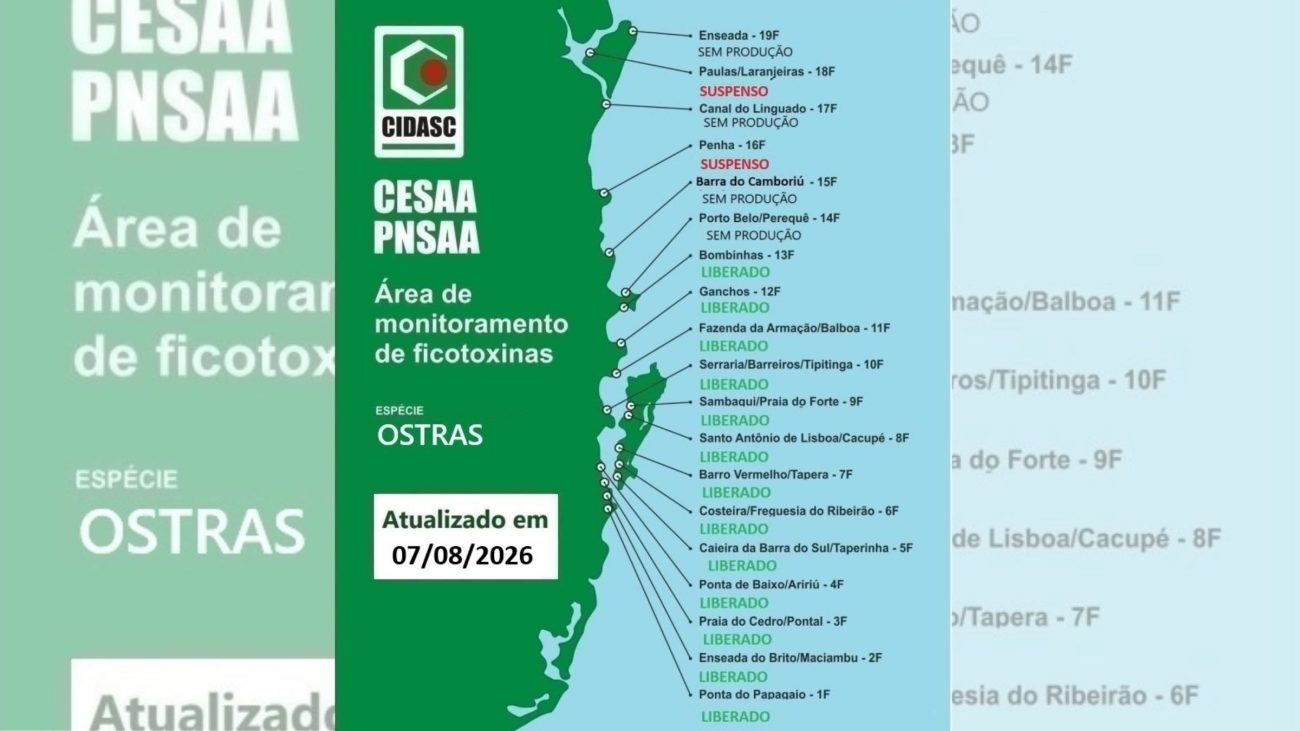 Laudos apontaram níveis elevados da toxina ácido okadaicoFoto: CIDASC/Divulgação/ND Mais