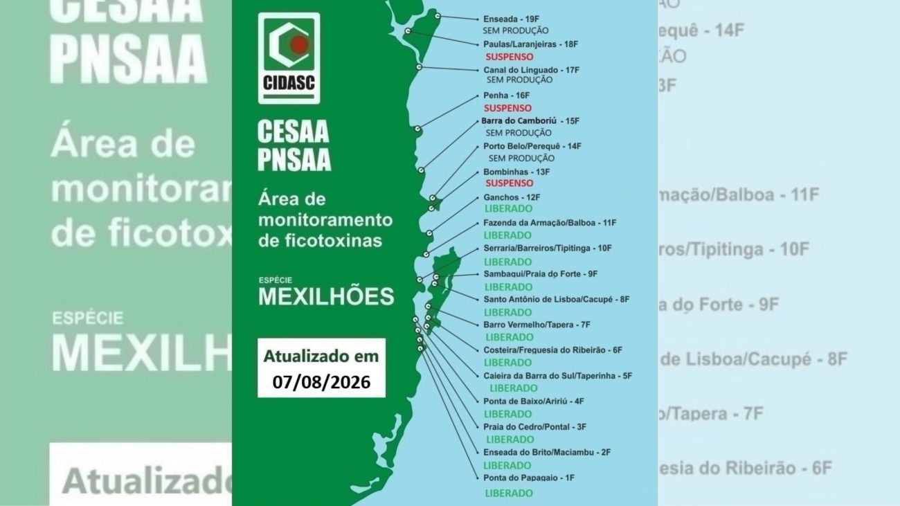 A chamada “maré vermelha” está afetando a produção e a comercialização de moluscosFoto: CIDASC/Divulgação/ND Mais