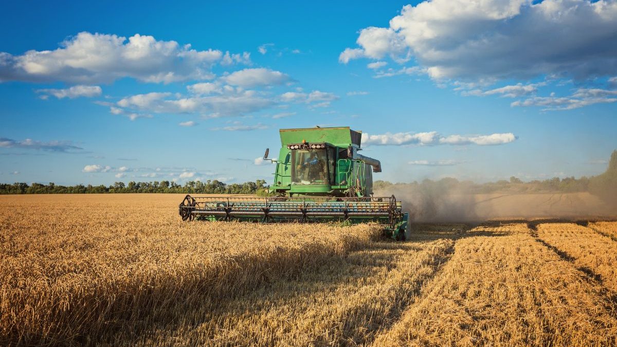 Super El Niño histórico e a safra em SC: como as previsões estão mudando as decisões dos agricultores no campo - QTU Questões do Universo