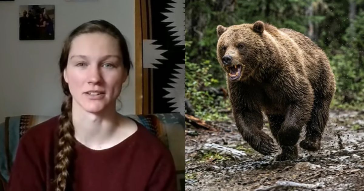 Enquanto caminhava, mulher é atacada por ursa-parda e consegue se salvar ao usar golpes