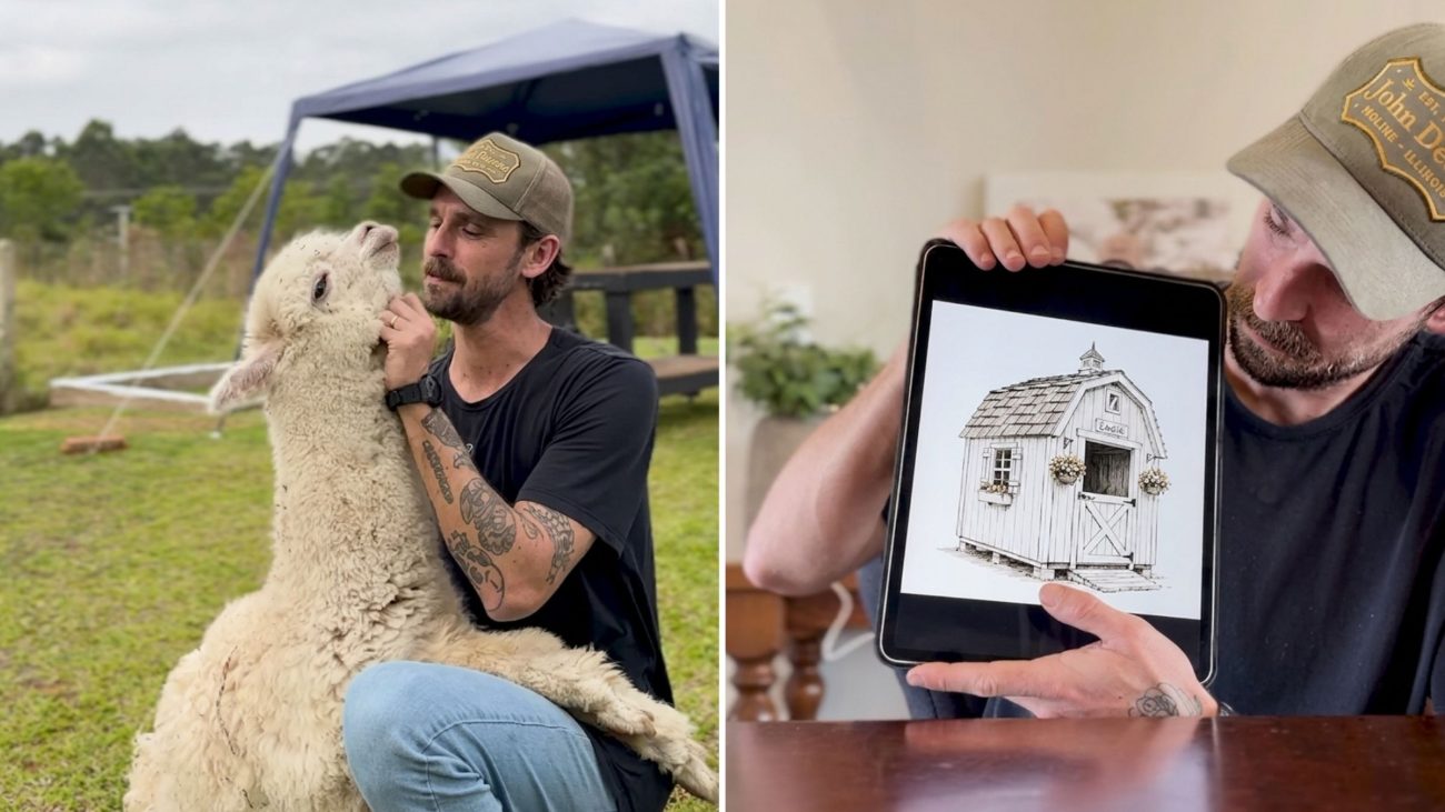 Carol, a alpaca que vive com a família de Lipe Peixoto, vai ganhar uma casa própria no sítio em Itajaí.