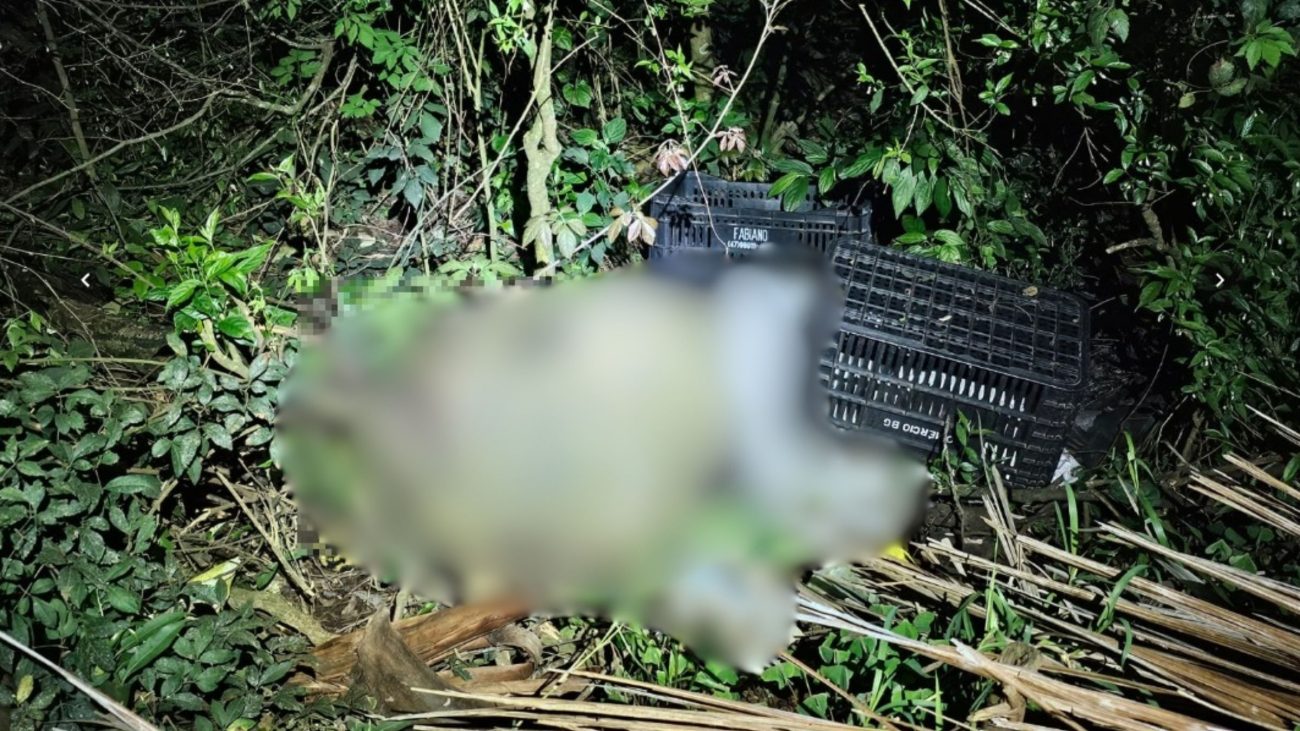 Corpo foi localizado em uma área de mata em Maravilha, no Oeste de Santa Catarina.Foto: Divulgação/ND Mais