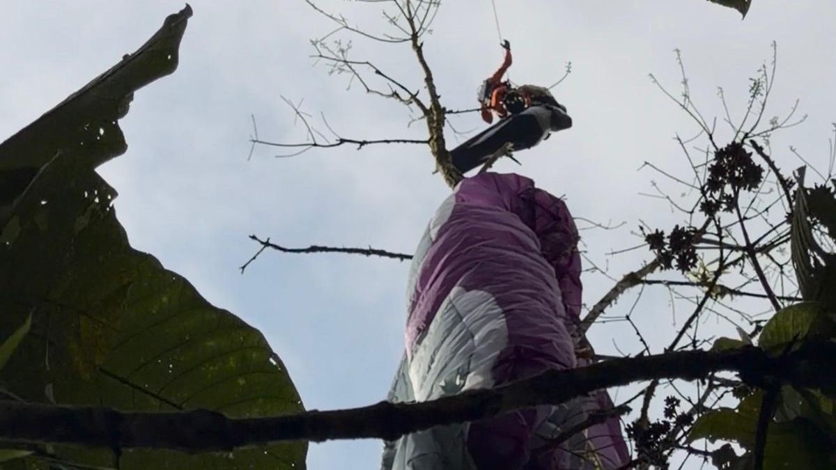 Resgate nas alturas: homem leva susto após cair de parapente e ficar preso em copa de árvore em SC - QTU Questões do Universo
