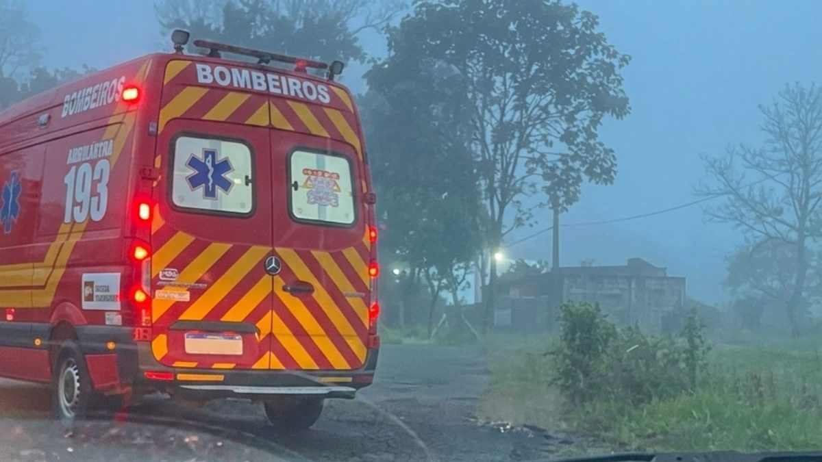 “Em choque”: bombeiros descrevem desespero da mãe após atropelamento que matou os dois filhos na BR-470 em SC - QTU Questões do Universo