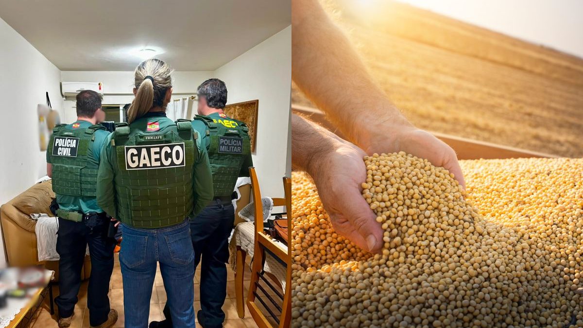 Prisão em praia de SC mira sonegação de R$ 90 milhões após empresa movimentar quase R$ 200 milhões com comércio de grãos - QTU Questões do Universo