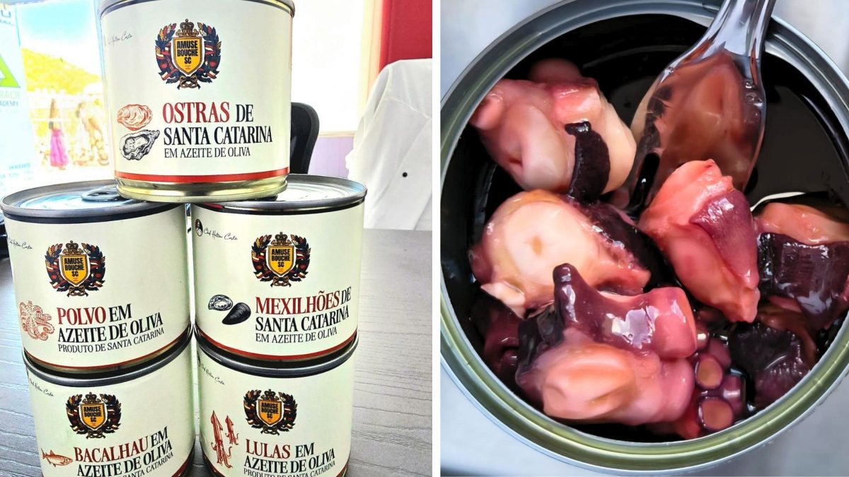 Florianópolis sai na frente e ganha primeira fábrica de ostras e mexilhões enlatados do Brasil - QTU Questões do Universo