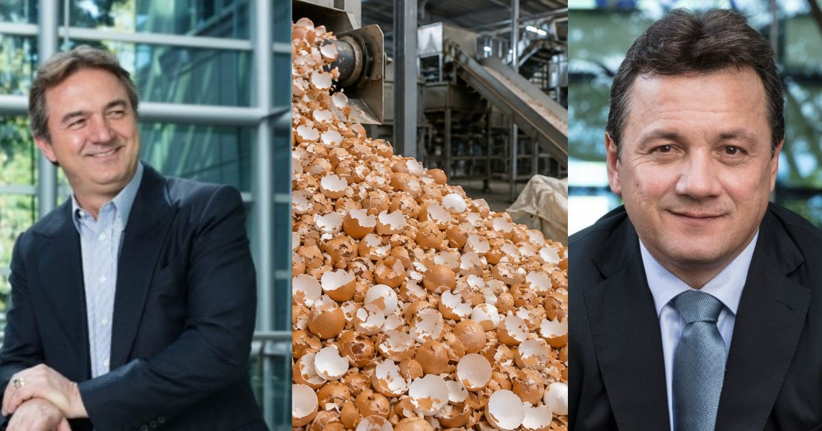 JBS, dos irmãos Batista, faz aposta ousada em mercado bilionário e pode mirar ‘ouro’ escondido na casca do ovo - QTU Questões do Universo