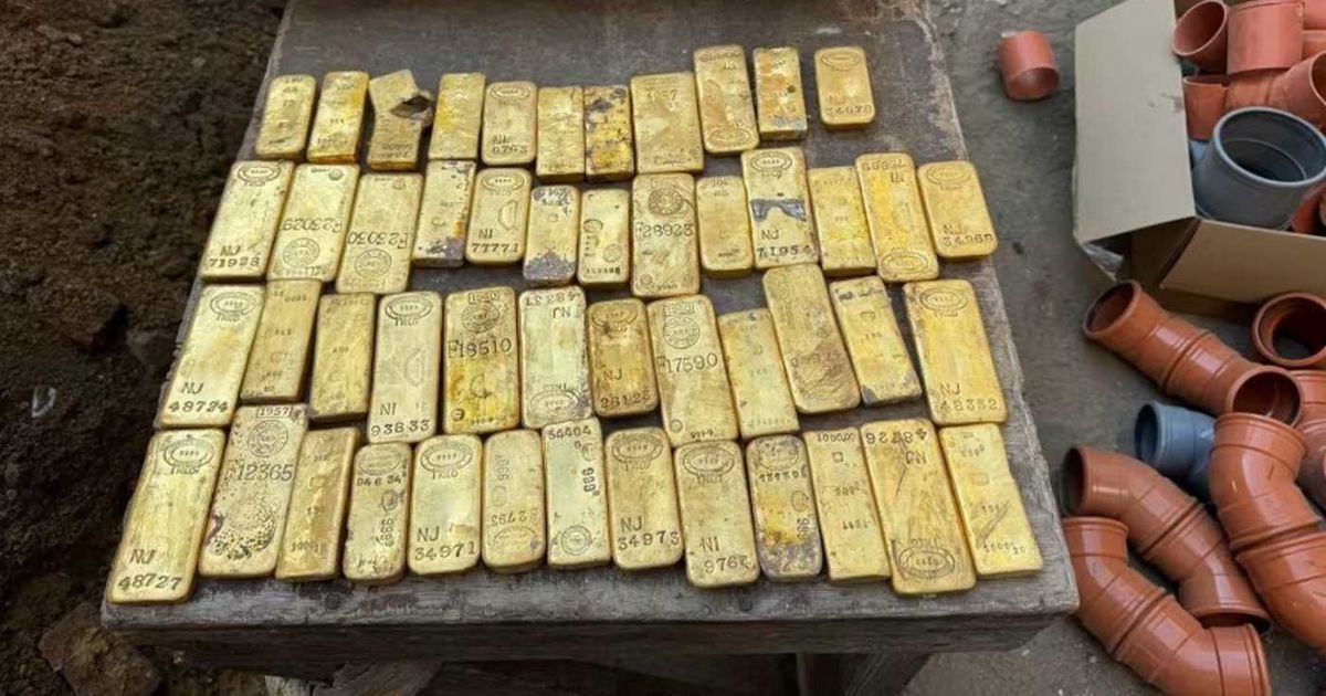 Pedreiros encontram barras e moedas de ouro escondidas na parede de uma casa antiga durante reforma e se surpreendem ao descobrir que o tesouro é avaliado em R$ 55 milhões - QTU Questões do Universo