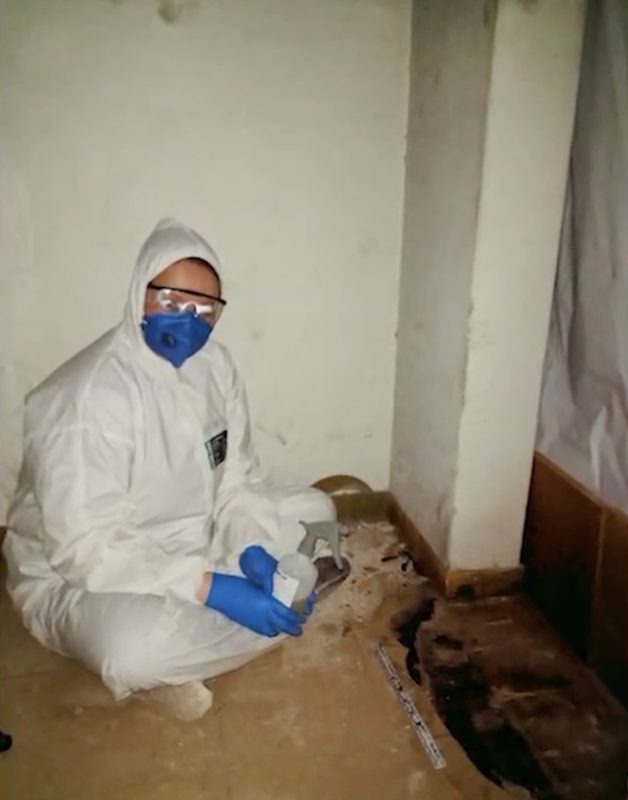 A equipe tentou extrair DNA das amostras. No entanto, a degradação do material impediu a identificação das possíveis vítimas. - Arquivo pessoal/ND Mais