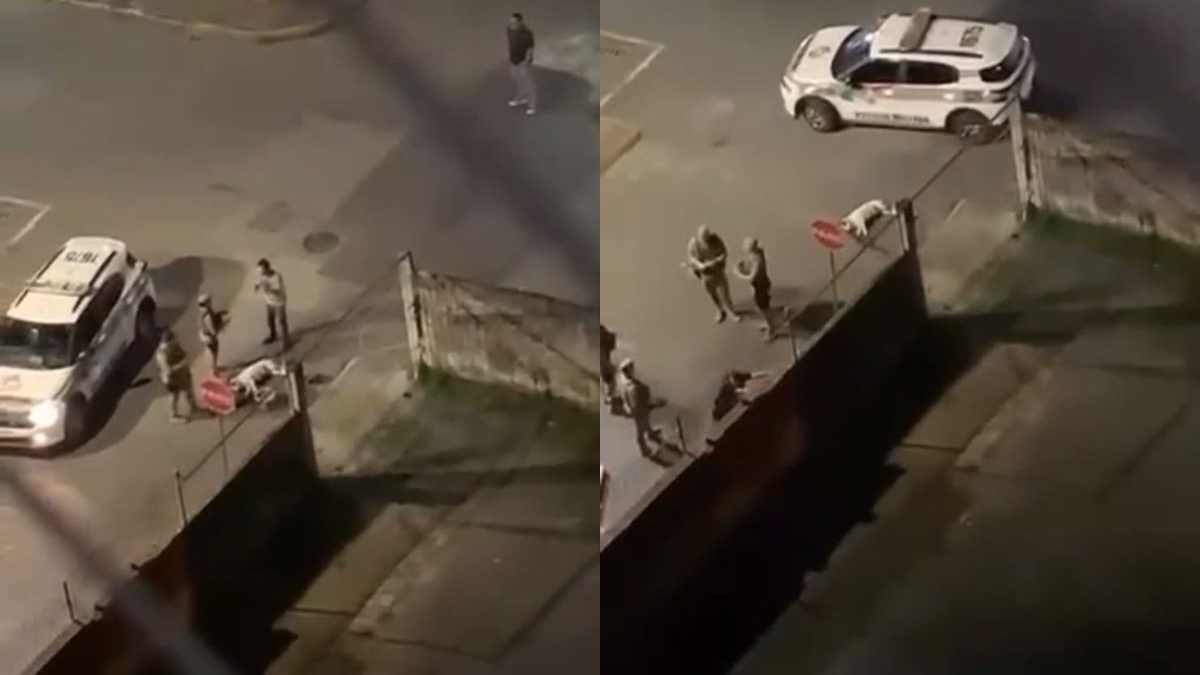 VÍDEO: Pitbull avança contra policial militar e é morto a tiros durante abordagem