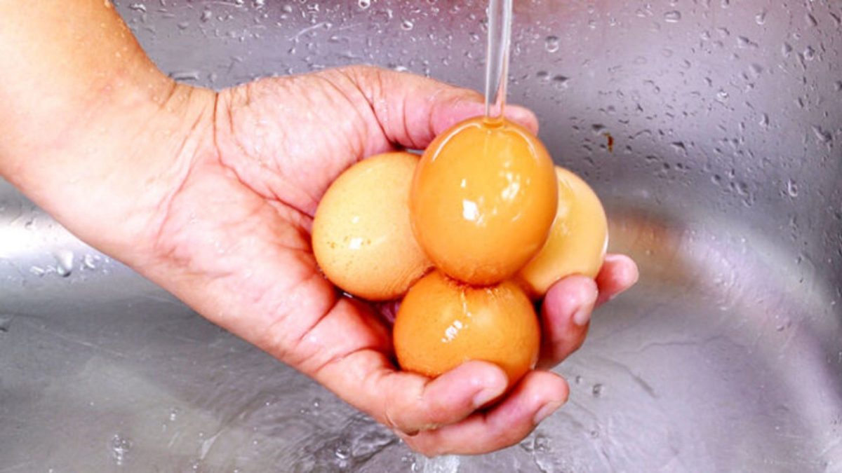 Plástico e petróleo em ovos? Anvisa alerta sobre risco de contaminação ao lavar a casca antes da hora certa - QTU Questões do Universo