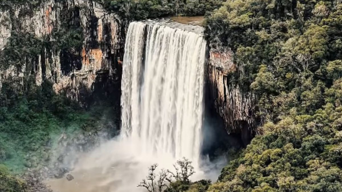 ‘Joia escondida’ de 72 metros entre cidades de SC impressiona com natureza preservada