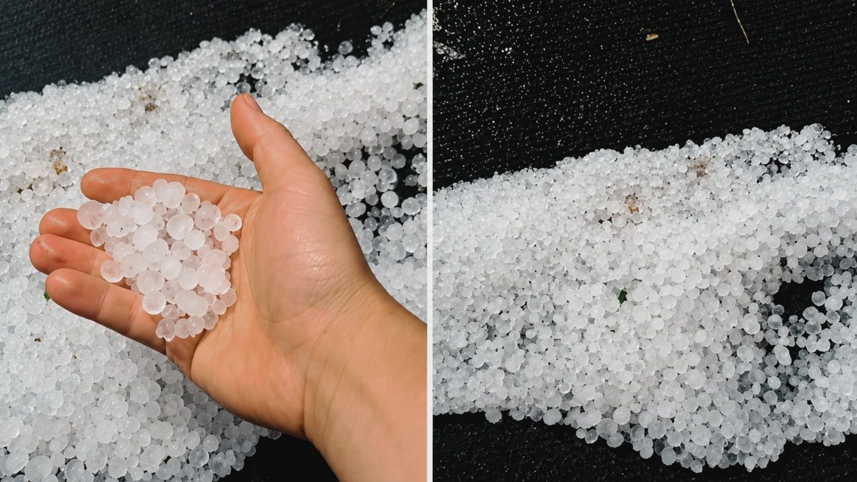 ATENÇÃO, SCHROEDER! Granizo atinge a cidade nesta segunda-feira (31)