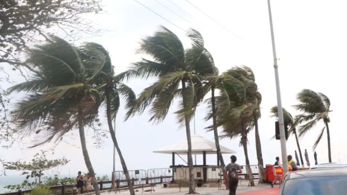 Alerta de vendaval de 100 km/h em SC