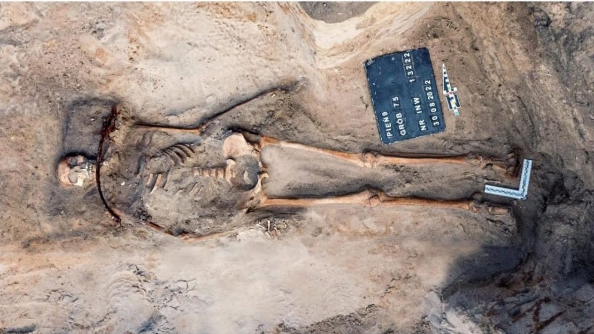 Túmulo de 400 anos revela ritual contra ‘vampiros’ com foice no pescoço de jovem de 18 anos na Polônia - QTU Questões do Universo