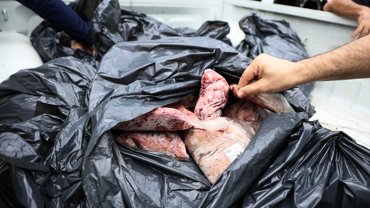 Açougue tem mais de 170 kg de carnes vencidas e sem procedência apreendidos no Norte da Ilha de Santa Catarina; local foi autuado em operação