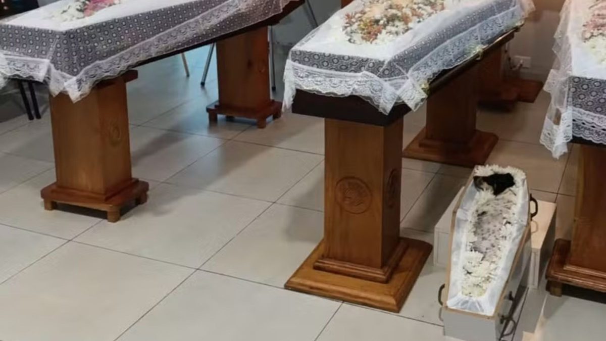 Acidente grave mata pai, duas filhas e cachorrinha um ano e meio após família perder mãe para o câncer - Foto