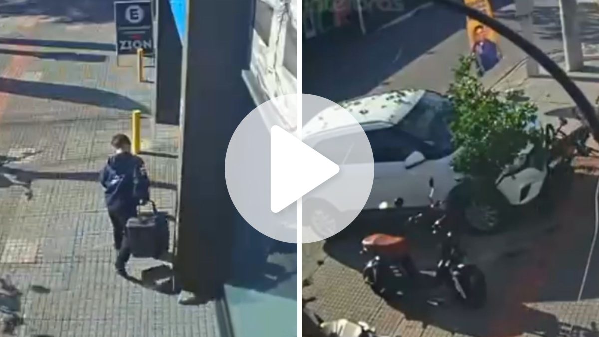 Carro invade calçada, bate em árvore e quase atropela menino em Itajaí: ‘Salvou a vida da criança’