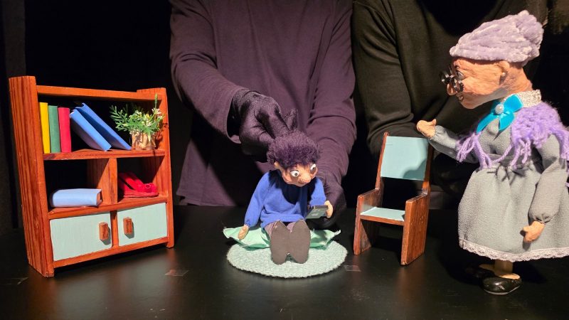 2ª edição da FLIJ (Festa Literária de Joinville) terá três dias de programação - Divulgação/ND Mais