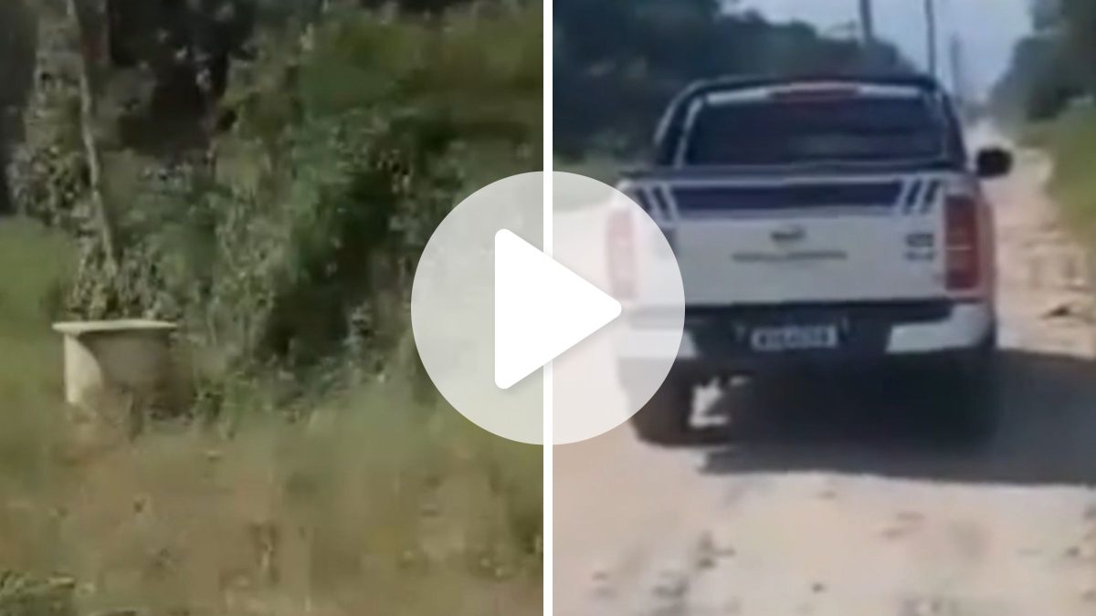 Ossada é encontrada em mata de SC e identidade ainda é um mistério