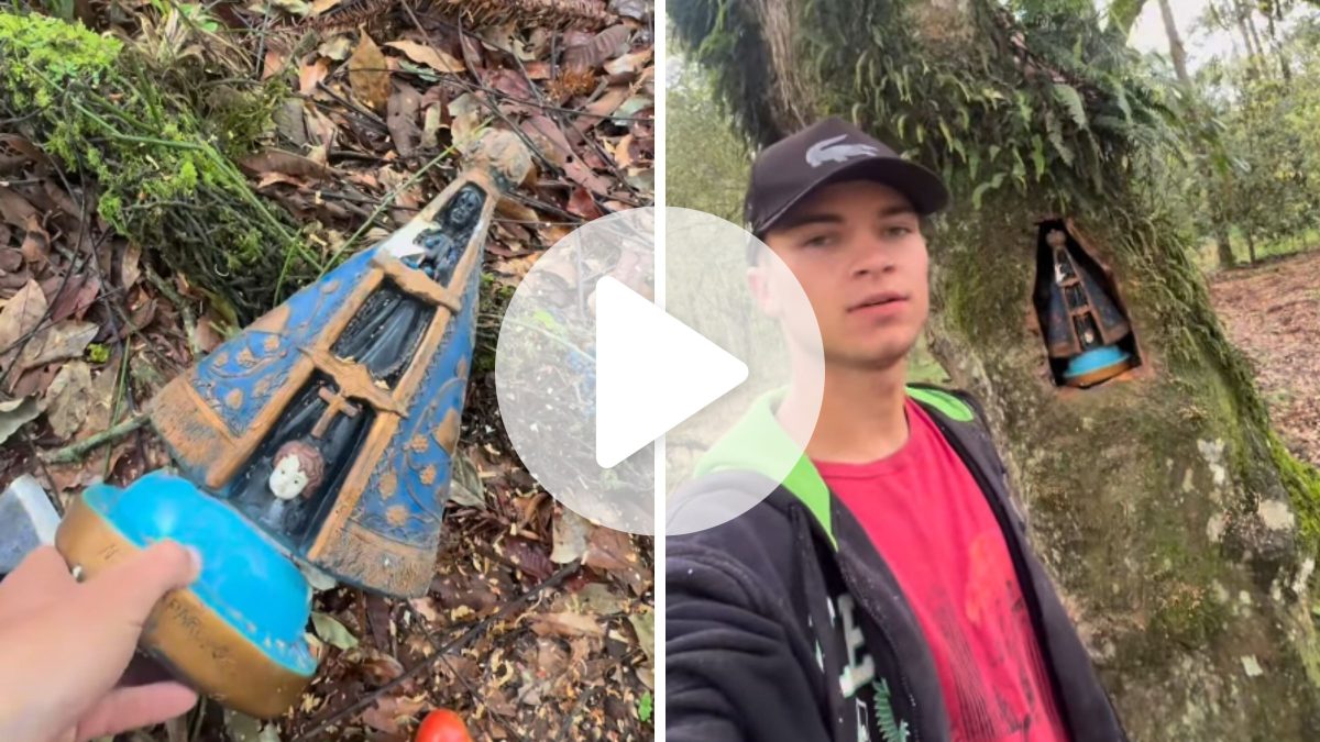 Jovem encontra imagem de Nossa Senhora Aparecida quebrada às margens de estrada em SC e constrói altar dentro de árvore para protegê-la: ‘Exemplo de fé’