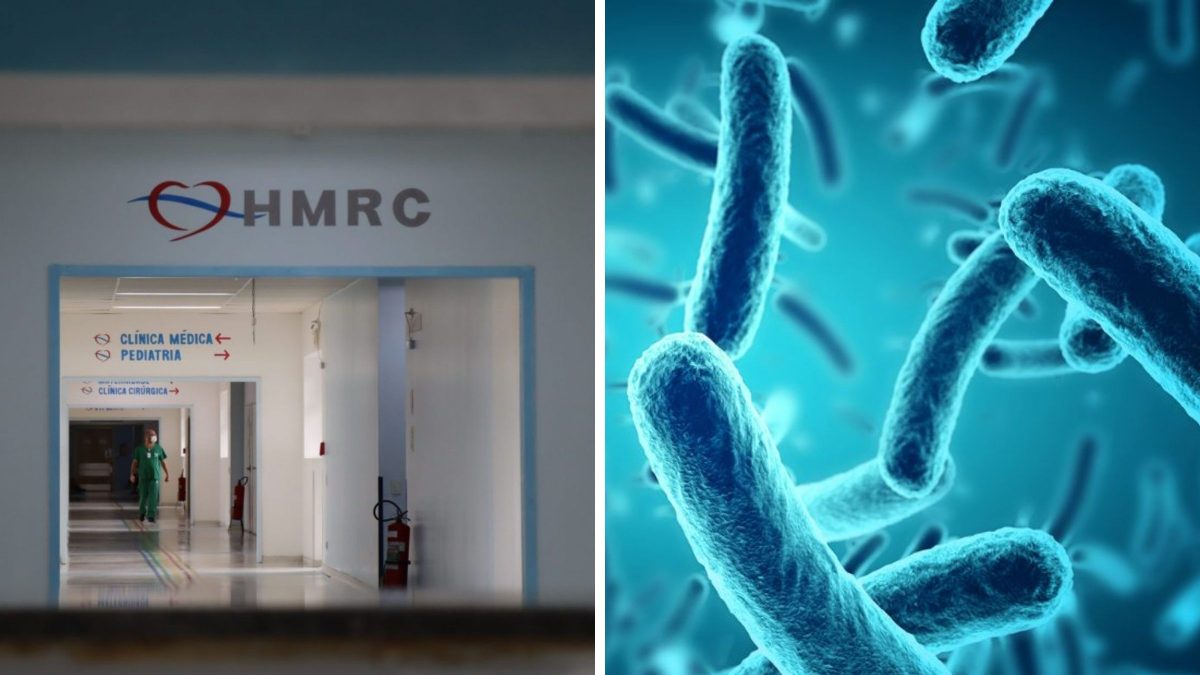 Possível bactéria na UTI de hospital de SC pode ser grave e resistente a antibióticos; entenda