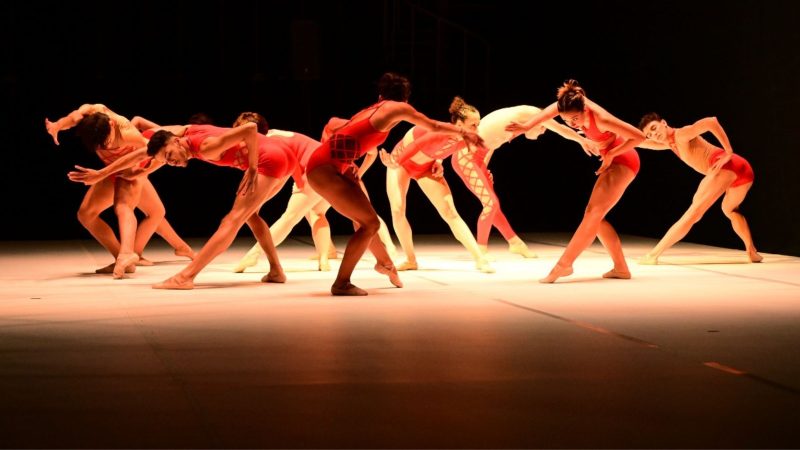 2ª edição da FLIJ (Festa Literária de Joinville) terá três dias de programação - Divulgação/ND Mais