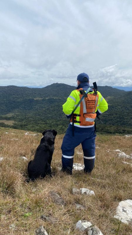 CBMSC durante as buscas pelo helicóptero - Divulgação/CMBSC/ND Mais