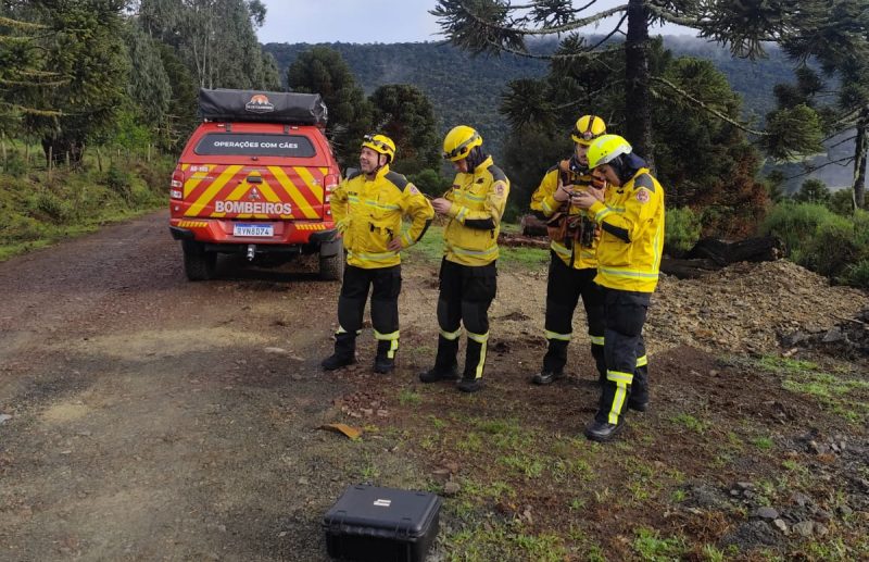 CBMSC durante as buscas no local - Divulgação/CMBSC/ND Mais