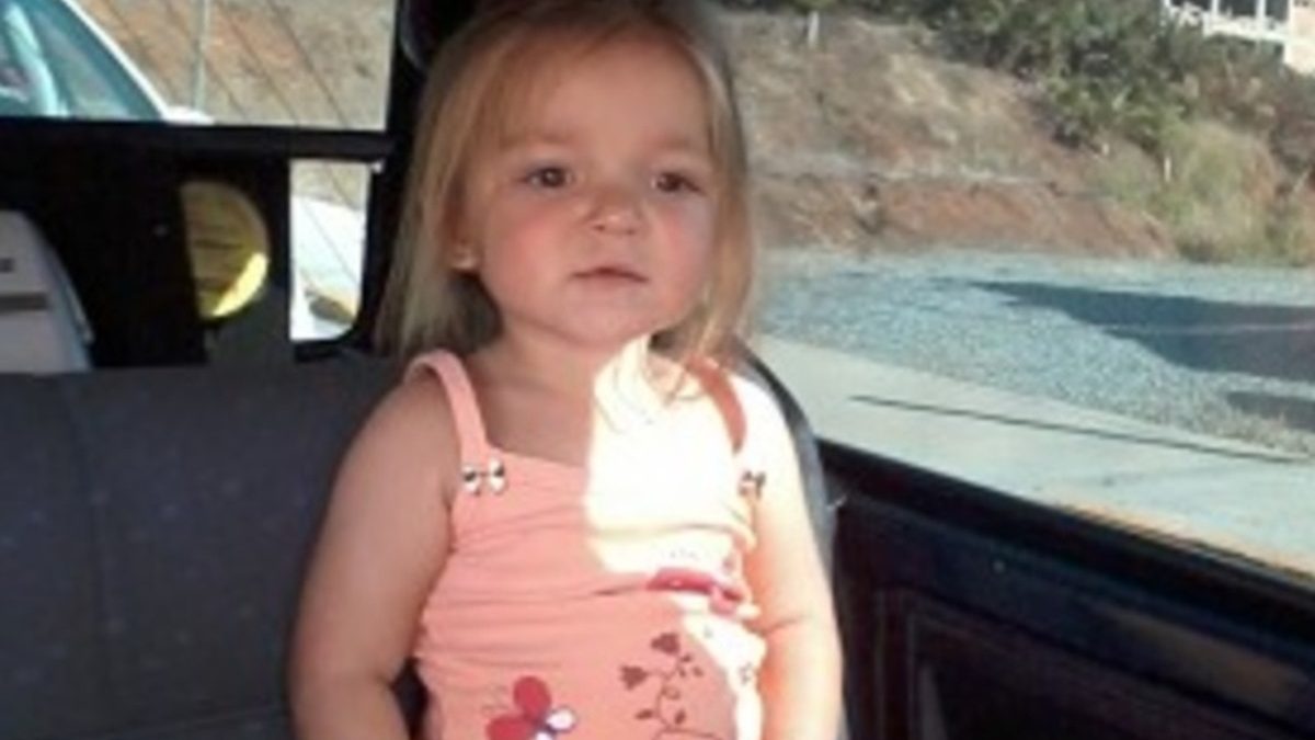 Menina de 1 ano foi levada pelo pai, que apareceu morto carbonizado em carro; DNA de criança nos EUA foi analisado em mistério que dura 12 anos em SC