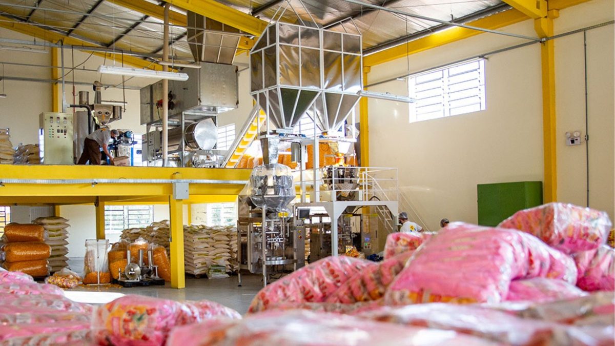 Após sofrer acidente de trabalho em uma mina, pai de 9 filhos buscou renda extra e criou uma das maiores fábricas de snacks de SC - QTU Questões do Universo