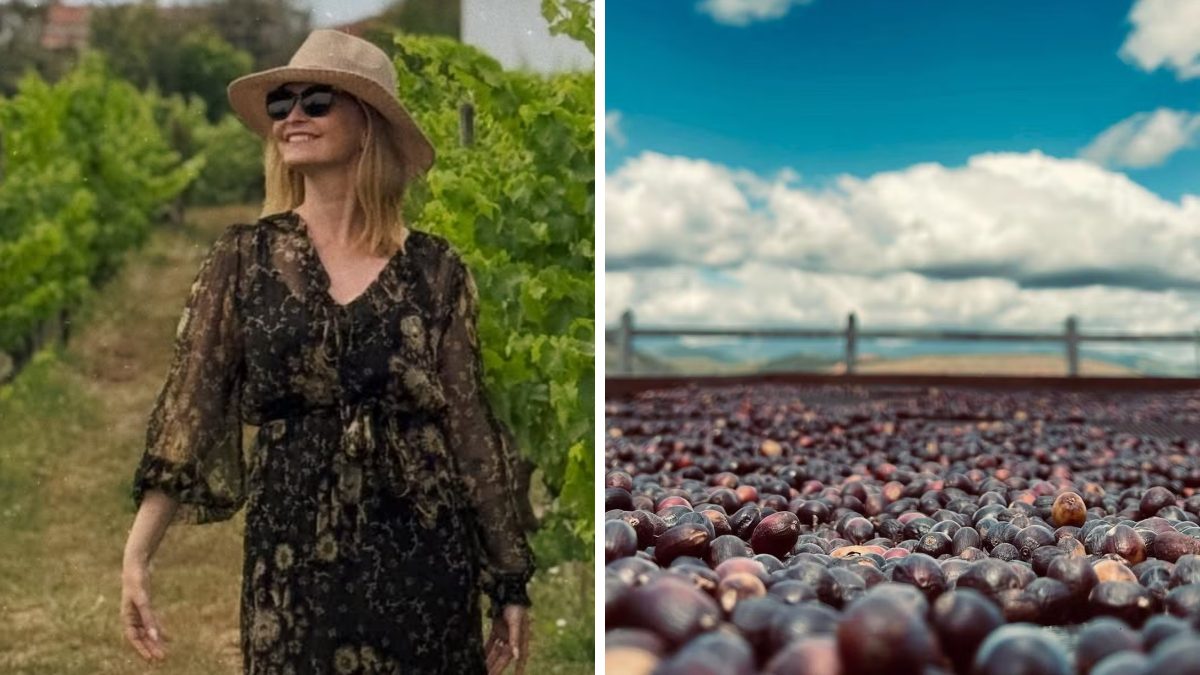Atriz global recupera fazenda de 180 hectares que estava parada e dá novo destino ao local com produção de café - QTU Questões do Universo