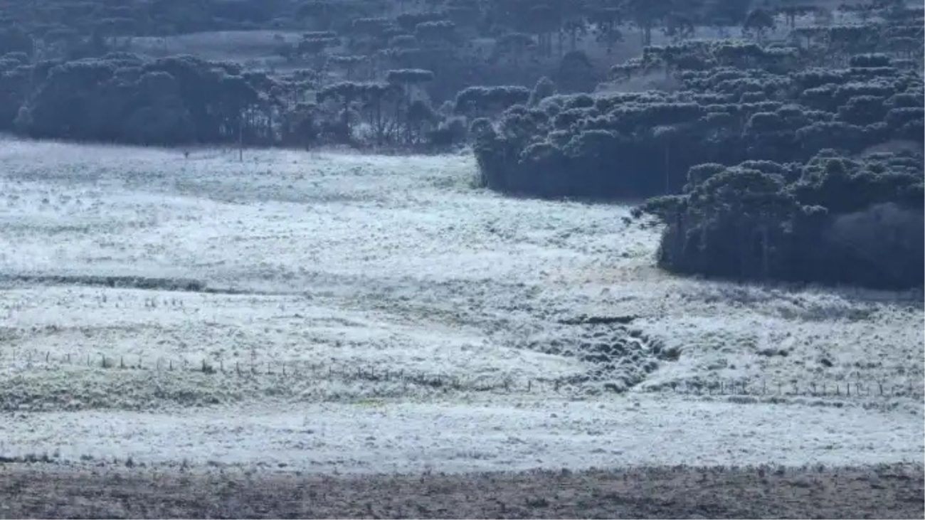Baixas temperaturas na Serra CatarinenseFoto: Reprodução/São Joaquim Online/ND Mais