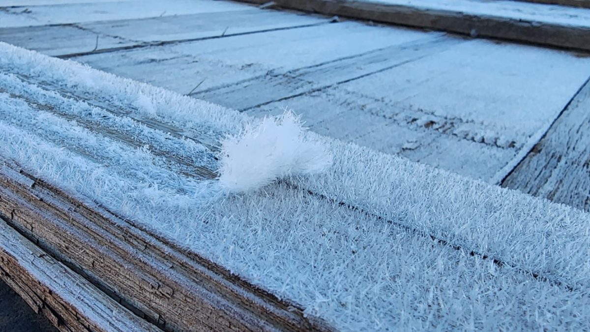 Massa de ar polar derruba temperaturas, cidade amanhece com -4,8°C e paisagens ‘branquinhas’ marcam a manhã na Serra de SC