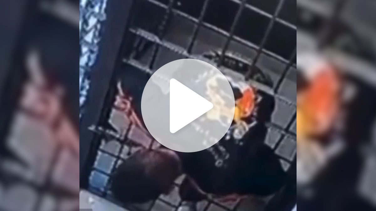 Preso vira ‘homem de elástico’ e foge de cela passando entre as grades de delegacia em SC; vídeo flagra o momento exato que detento se contorce para fugir