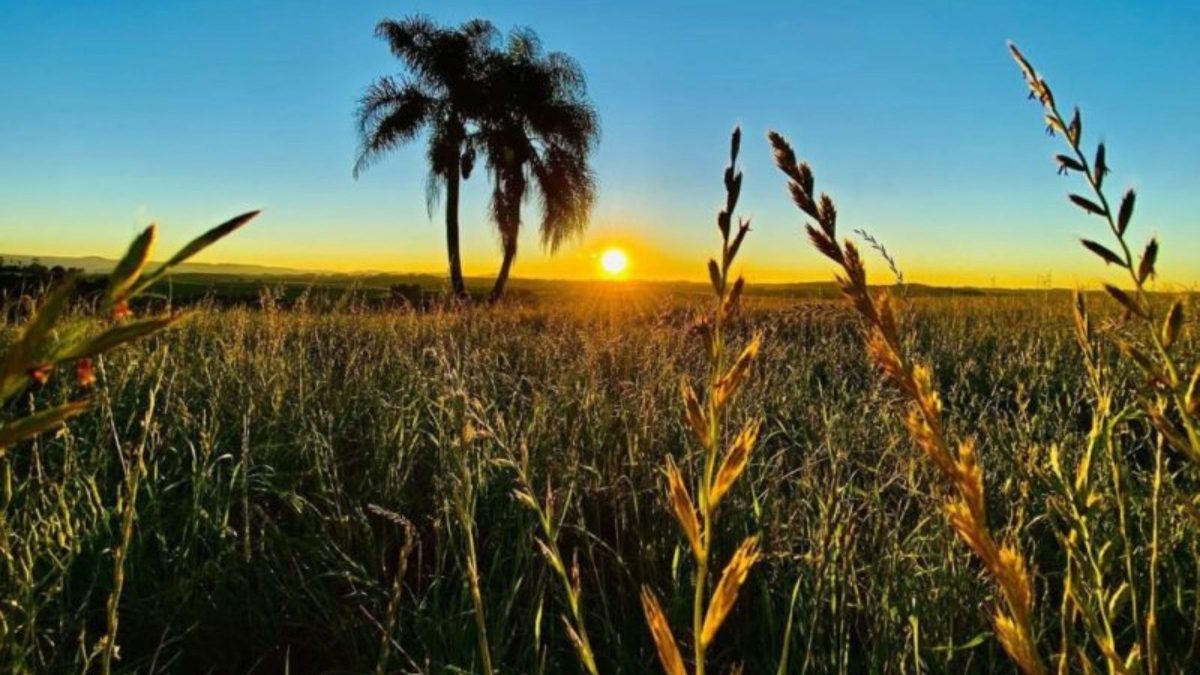 Salrios de R 84 mil concurso pblico em polo agrcola | Variedades | QTU Notícias
