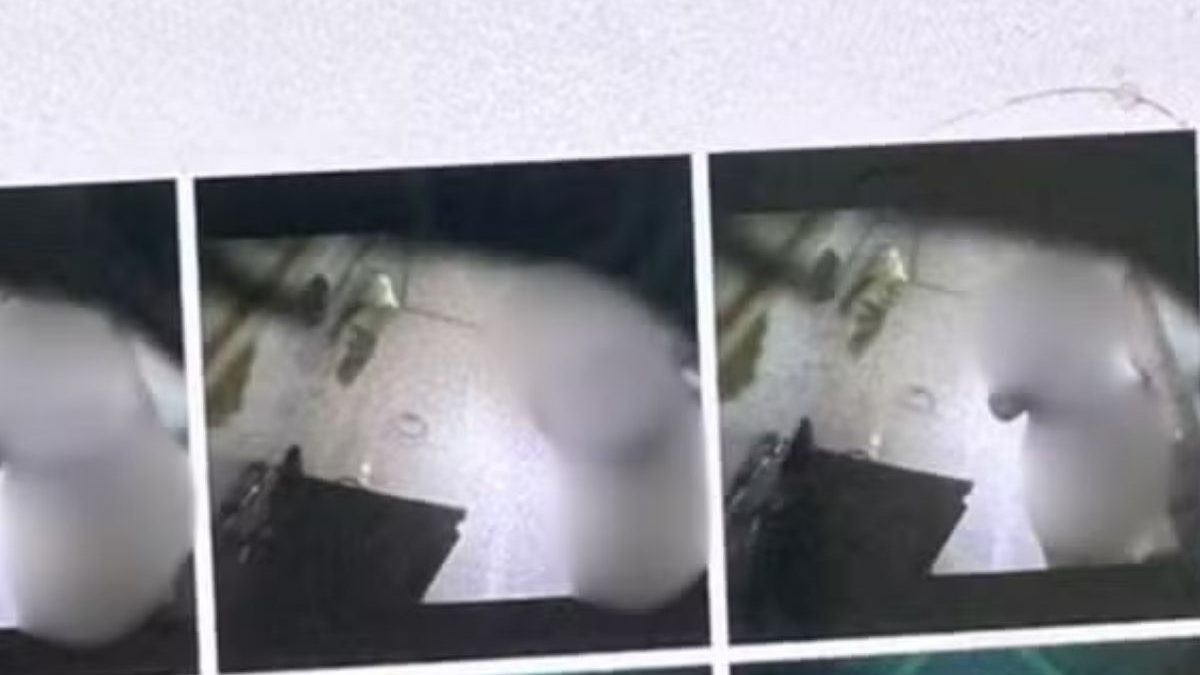 Mulher usa celular do patrão para pagar marmita e descobre vídeos dela nua no banheiro em MG - QTU Questões do Universo